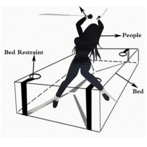 Bed Restraint